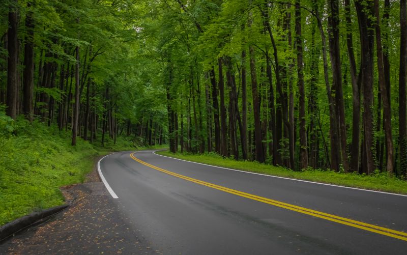 Road Coating Service in Fort Collins, CO